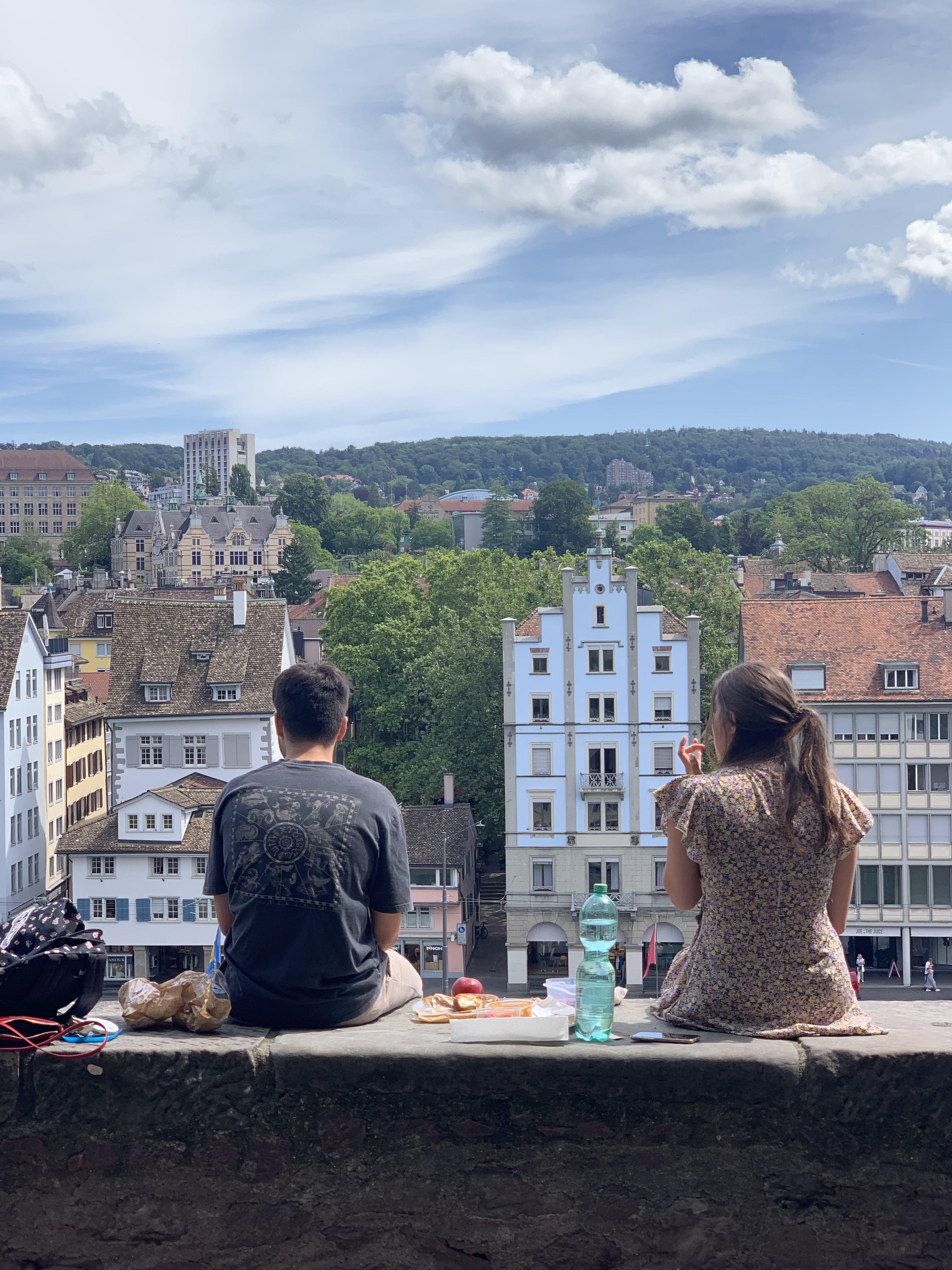 A vista do Lindenhof