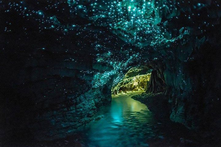 Caverna de Waitomo, Nova Zel&acirc;ndia