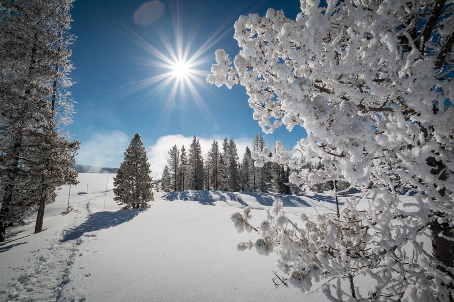Yellowstone, EUA Yellowstone, EUA