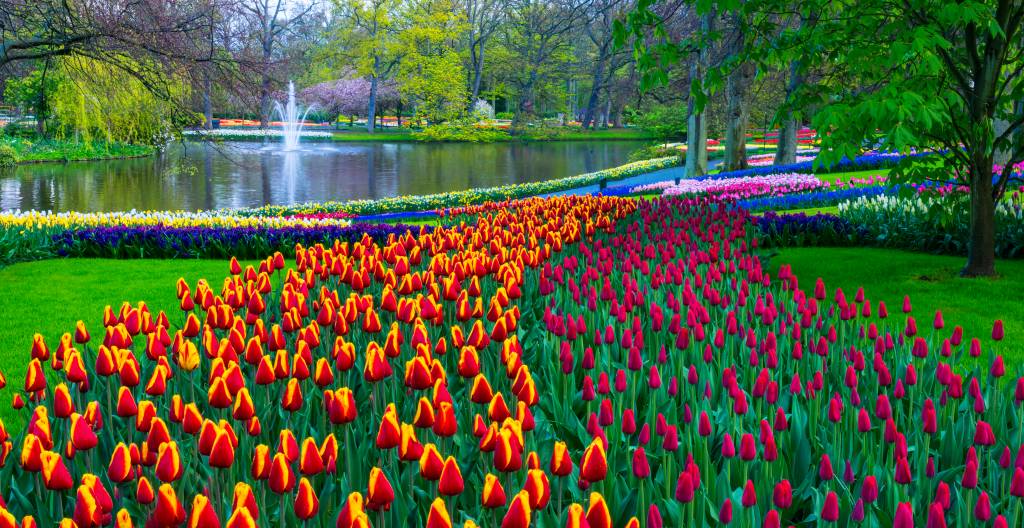 Keukenhof, na Holanda Keukenhof, na Holanda