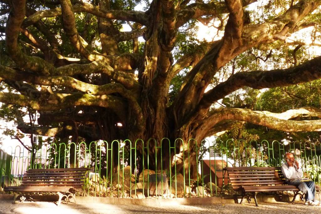 Florianópolis tem um centro descolado; veja o que é imperdível