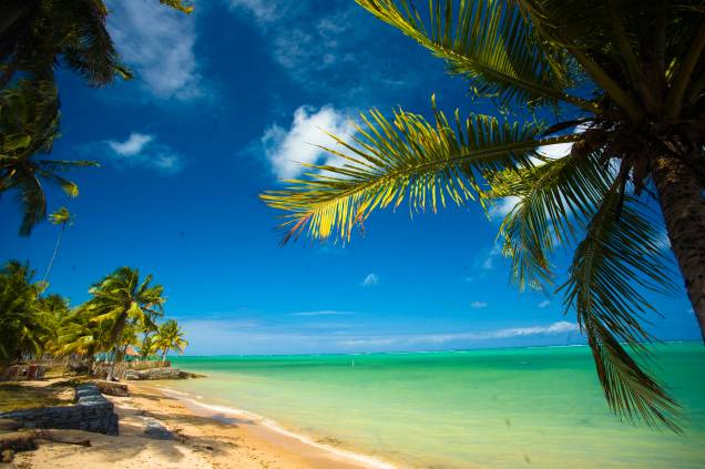 <strong><a href="https://viajeaqui.abril.com.br/cidades/br-al-sao-miguel-dos-milagres" rel="SÃO MIGUEL DOS MILAGRES" target="_blank">SÃO MIGUEL DOS MILAGRES</a> (<a href="https://viajeaqui.abril.com.br/estados/br-alagoas" rel="AL" target="_blank">AL</a>)</strong> Os 23 km de praias vazias entre Passo do Camaragibe e <a href="https://viajeaqui.abril.com.br/estabelecimentos/br-al-sao-miguel-dos-milagres-atracao-praia-porto-de-pedras" rel="Porto de Pedras" target="_blank">Porto de Pedras</a>, no litoral norte alagoano, formam uma das mais belas faixas litorâneas do Nordeste. Coqueiros penteados pelo vento enfeitamenseadas com mar verde-alagoano, numa paisagem quase sem testemunhas. Dentro d’água, recifes formam piscinas naturais e deixam a água na cintura por centenas de metros. Chamado de São Miguel dos Milagres – mesmo nome do município principal –, esse paraíso é o destino das sete noites no <a href="https://www.angahotel.com/" rel="Angá Beach Hotel" target="_blank">Angá Beach Hotel</a>, na praia de <a href="https://viajeaqui.abril.com.br/estabelecimentos/br-al-sao-miguel-dos-milagres-atracao-praia-porto-da-rua" rel="Porto da Rua" target="_blank">Porto da Rua</a>. <strong>QUANDO:</strong> Até novembro <strong>QUEM LEVA:</strong> <a href="https://www.ambiental.tur.br/" rel="Ambiental" target="_blank">Ambiental</a> <strong>QUANTO:</strong> R$ 3 224 <strong><a href="https://viajeaqui.abril.com.br/cidades/br-al-sao-miguel-dos-milagres" rel="SÃO MIGUEL DOS MILAGRES" target="_blank">SÃO MIGUEL DOS MILAGRES</a> (<a href="https://viajeaqui.abril.com.br/estados/br-alagoas" rel="AL" target="_blank">AL</a>)</strong> Os 23 km de praias vazias entre Passo do Camaragibe e <a href="https://viajeaqui.abril.com.br/estabelecimentos/br-al-sao-miguel-dos-milagres-atracao-praia-porto-de-pedras" rel="Porto de Pedras" target="_blank">Porto de Pedras</a>, no litoral norte alagoano, formam uma das mais belas faixas litorâneas do Nordeste. Coqueiros penteados pelo vento enfeitamenseadas com mar verde-alagoano, numa paisagem quase sem testemunhas. Dentro d’água, recifes formam piscinas naturais e deixam a água na cintura por centenas de metros. Chamado de São Miguel dos Milagres – mesmo nome do município principal –, esse paraíso é o destino das sete noites no <a href="https://www.angahotel.com/" rel="Angá Beach Hotel" target="_blank">Angá Beach Hotel</a>, na praia de <a href="https://viajeaqui.abril.com.br/estabelecimentos/br-al-sao-miguel-dos-milagres-atracao-praia-porto-da-rua" rel="Porto da Rua" target="_blank">Porto da Rua</a>. <strong>QUANDO:</strong> Até novembro <strong>QUEM LEVA:</strong> <a href="https://www.ambiental.tur.br/" rel="Ambiental" target="_blank">Ambiental</a> <strong>QUANTO:</strong> R$ 3 224