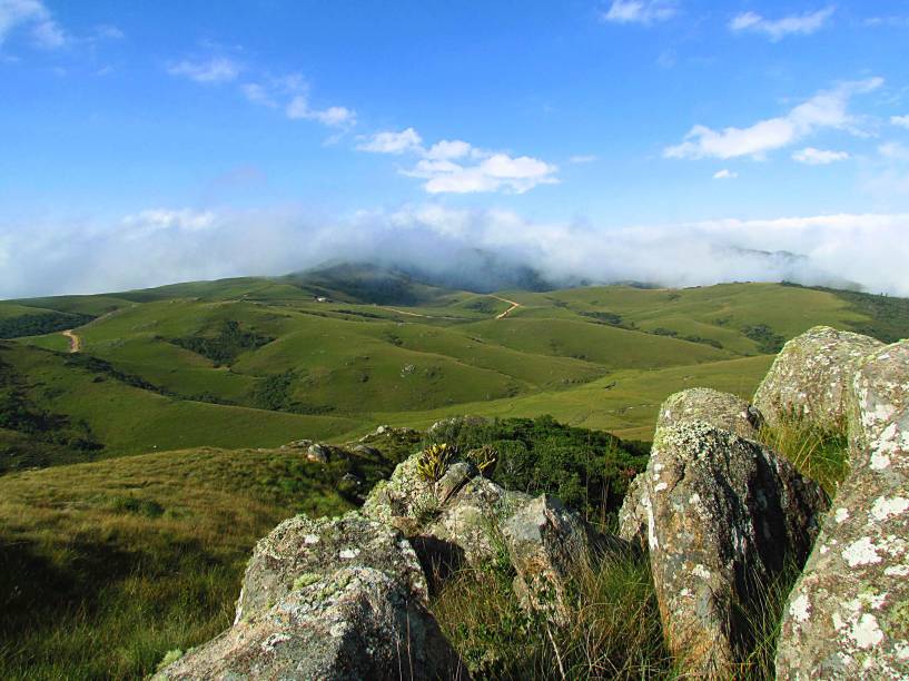 Este percurso está bem sinalizado com placas ao longo dos seus 250 km de estrada de terra, que começa e termina em <a href="https://viajeaqui.abril.com.br/cidades/br-sc-sao-bento-do-sul" target="_blank">São Bento do Sul</a>. Entre as atrações, estão as florestas de araucárias, coníferas da Mata Atlântica do sul do Brasil que estão em extinção a Rota das Cachoeiras (só pode ser percorrida à pé, mas vale a pena deixar a bike por cerca de 4 horas para percorrê-la!) e a área de proteção ambiental dos Campos do Quiriri (foto). Mais informações na <a href="https://www.facebook.com/circuitodasaraucarias/" target="_blank">página oficial do circuito </a> Este percurso está bem sinalizado com placas ao longo dos seus 250 km de estrada de terra, que começa e termina em <a href="https://viajeaqui.abril.com.br/cidades/br-sc-sao-bento-do-sul" target="_blank">São Bento do Sul</a>. Entre as atrações, estão as florestas de araucárias, coníferas da Mata Atlântica do sul do Brasil que estão em extinção a Rota das Cachoeiras (só pode ser percorrida à pé, mas vale a pena deixar a bike por cerca de 4 horas para percorrê-la!) e a área de proteção ambiental dos Campos do Quiriri (foto). Mais informações na <a href="https://www.facebook.com/circuitodasaraucarias/" target="_blank">página oficial do circuito </a>