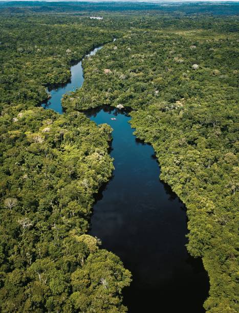<strong>Selva Amazônica – 2 noites – R$ 2 154</strong><br /> São duas noites de hospedagem no Ariaú Amazon Towers, com pensão completa e traslado de chegada e saída. Além disso, inclui passeio para ver o nascer do sol, de canoa motorizada e visita casa de nativos, caminhadas na selva, pesca de piranha e focagem noturna de jacaré<br /> <br /> <strong>Quando: </strong>saídas em outubro e novembro<br /> <strong>Pagamento: </strong>R$ 2 154 à vista ou entrada de R$ 430 + 9 vezes de R$ 191,46<br /> <strong>Quem leva:</strong> a <strong>TAM Viagens</strong> (11) 3274-1313 / site <a href="https://www.tamviagens.com.br" rel="www.tamviagens.com.br">www.tamviagens.com.br</a> <strong>Selva Amazônica – 2 noites – R$ 2 154</strong><br /> São duas noites de hospedagem no Ariaú Amazon Towers, com pensão completa e traslado de chegada e saída. Além disso, inclui passeio para ver o nascer do sol, de canoa motorizada e visita casa de nativos, caminhadas na selva, pesca de piranha e focagem noturna de jacaré<br /> <br /> <strong>Quando: </strong>saídas em outubro e novembro<br /> <strong>Pagamento: </strong>R$ 2 154 à vista ou entrada de R$ 430 + 9 vezes de R$ 191,46<br /> <strong>Quem leva:</strong> a <strong>TAM Viagens</strong> (11) 3274-1313 / site <a href="https://www.tamviagens.com.br" rel="www.tamviagens.com.br">www.tamviagens.com.br</a>
