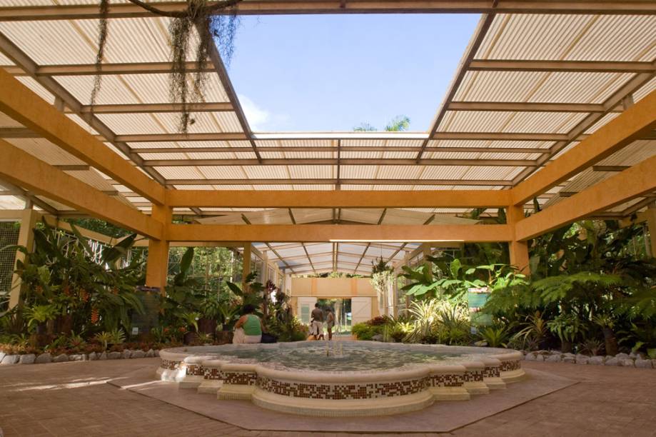 Criado por Dom João VI, o Jardim Botânico mantém a exuberância apesar de seus 202 anos de existência Criado por Dom João VI, o Jardim Botânico mantém a exuberância apesar de seus 202 anos de existência