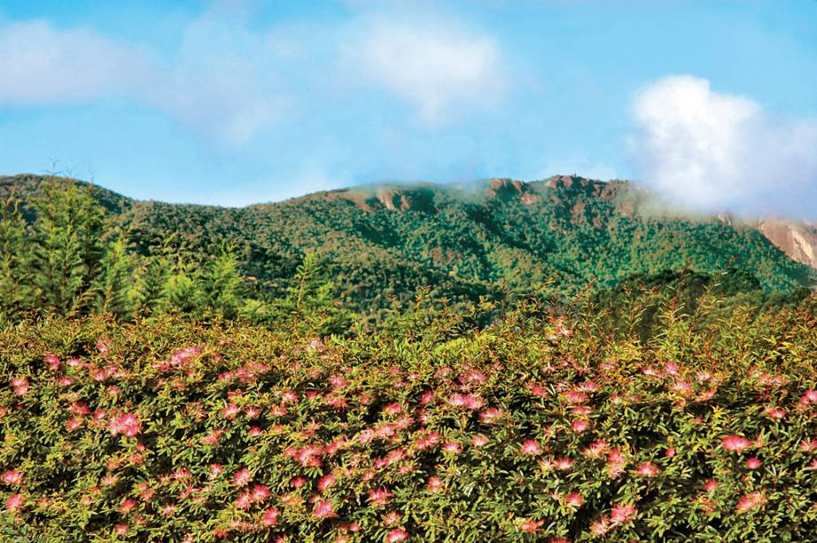 <strong>VISTA DAS MONTANHAS - Monte Verde</strong> <strong>é a vencedora!</strong><br /><br />Levando em consideração abrangência e beleza da vista, facilidade de acesso e tranquilidade para contemplação, Monte Verde (foto) ganha por uma ligeira vantagem.  Para chegar nas três principais elevações, o acesso é o mesmo: abusando da primeira marcha, suba até o final da Avenida das Montanhas e estacione o veículo próximo ao mais alto bar brasileiro – o Star Bar, a 1.850 metros de altitude. À esquerda sai a trilha que segue em direção à Pedra Redonda (1 930 m) e à Pedra Partida (2 050 m). Em meia hora de caminhada chega-se na primeira pedra, que já oferece uma vista muito bacana. Demora mais uma hora para chegar no topo da Pedra Partida, que detém a melhor vista da região. No lado oposto, é preciso caminhar duas horas até o Pico do Selado, o mais alto com 2 083 metros.<br /><br />Chega-se de carro ao <a href="https://viajeaqui.abril.com.br/estabelecimentos/br-sp-campos-do-jordao-atracao-pico-do-itapeva" rel="Pico do Itapeva" target="_blank">Pico do Itapeva</a> (2.035 m) em Campos do Jordão. O que em tese seria uma vantagem (facilidade do acesso) torna-se um problema pela quantidade de grupos de excursão e o comércio ambulante no topo, tirando um pouco da magia de contemplar 15 cidades do Vale do Paraíba e as montanhas da Serra da Bocaina. O outro cartão-postal da região, a <a href="https://viajeaqui.abril.com.br/estabelecimentos/br-sp-campos-do-jordao-atracao-pedra-do-bau" rel="Pedra do Baú" target="_blank">Pedra do Baú</a> (1.950 m) fica a 25 quilômetros do Centro de Campos do Jordão e ainda é preciso vencer 300 degraus encravados na rocha até chegar ao topo – também é necessário um guia.