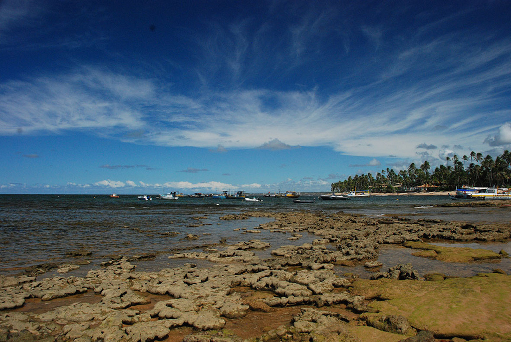 A Praia do Forte é uma vila ecologicamente correta com rede elétrica subterrânea e construções que não passam os 10m de altura