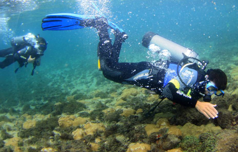 Não é preciso ter certificado para fazer o curso de mergulho Discovery Dive, da <a href="https://colonialdiver.com.br/2016/" target="_blank" rel="noopener"><strong>Colonial Diver</strong></a> Não é preciso ter certificado para fazer o curso de mergulho Discovery Dive, da <a href="https://colonialdiver.com.br/2016/" target="_blank" rel="noopener"><strong>Colonial Diver</strong></a>