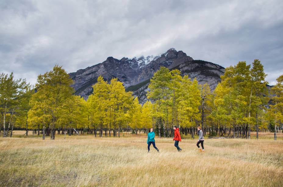 <strong>Montanha Cascade</strong>        Essa majestosa montanha está bem próxima a Banff. Há duas trilhas que levam até mais perto de sua base, a C-Level Cirque e a Stoney Squaw, ambas de nível moderado de dificuldade