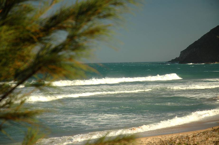 Não há bares ou restaurantes na Praia Silveira, ela é cercada de morros e muita mata preservada