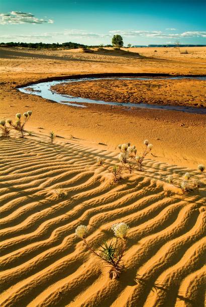 A m&iacute;tica Ruta 40 atravessa a Argentina de norte a sul
