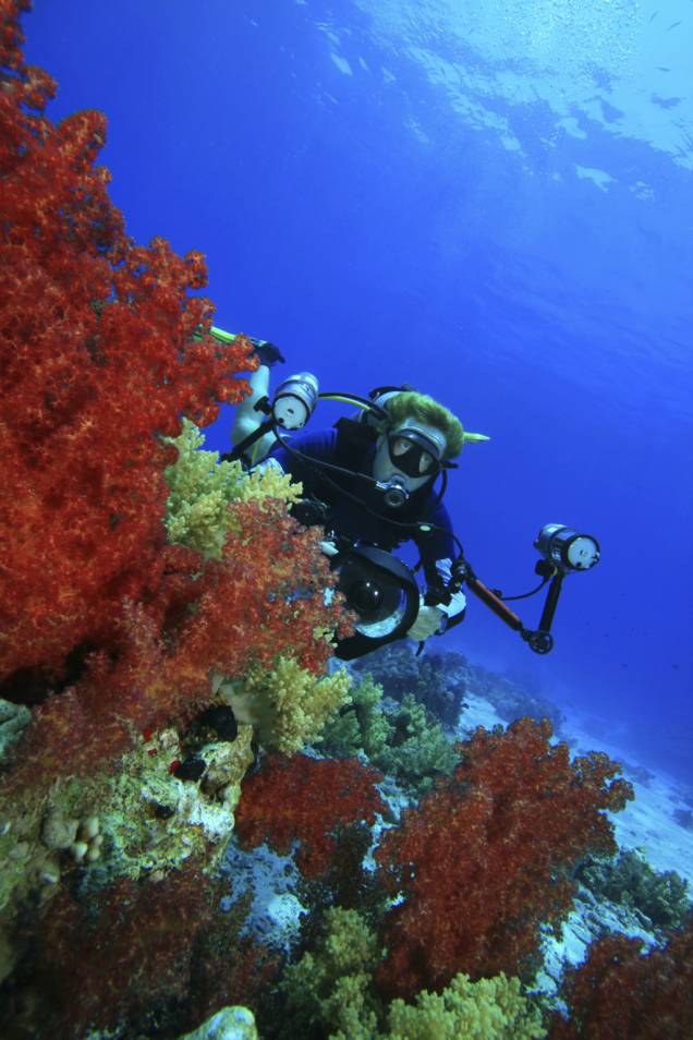 O Mar Vermelho, no Egito, é considerado um dos melhores pontos de mergulho do planeta, mas sofre com acelerado processo de degradação O Mar Vermelho, no Egito, é considerado um dos melhores pontos de mergulho do planeta, mas sofre com acelerado processo de degradação