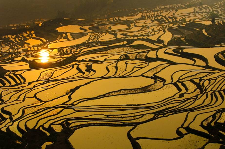 O arroz é uma das culturas agrícolas mais fundamentais da Ásia oriental. Não só uma fonte essencial de carboidratos, tornou-se também uma forma de pagamento. Os terraços alagados, próximos a Longsheng, são tanto um grande feito humano como uma visão espetacular O arroz é uma das culturas agrícolas mais fundamentais da Ásia oriental. Não só uma fonte essencial de carboidratos, tornou-se também uma forma de pagamento. Os terraços alagados, próximos a Longsheng, são tanto um grande feito humano como uma visão espetacular