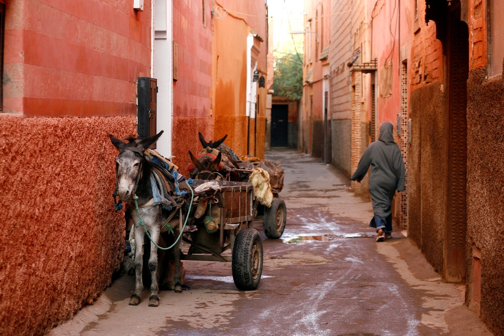 Na medina de Marrakesh, em muitos aspectos o tempo parou. Ruas, aromas, vestimentas e meios de transportes ainda são idênticos aos encontrados por viajantes de décadas atrás