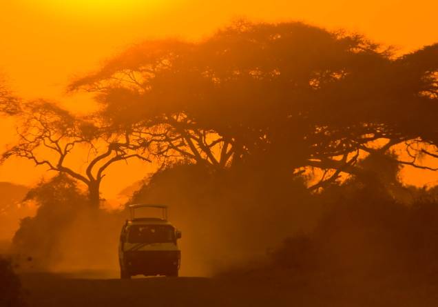 A palavra safári, em swahili, a língua oficial da Tanzânia, significa jornada. Esse é provavelmente o mais gratificante passeio que pode ser feito no país e a possibilidade de ver grandes animais são bem consideráveis A palavra safári, em swahili, a língua oficial da Tanzânia, significa jornada. Esse é provavelmente o mais gratificante passeio que pode ser feito no país e a possibilidade de ver grandes animais são bem consideráveis