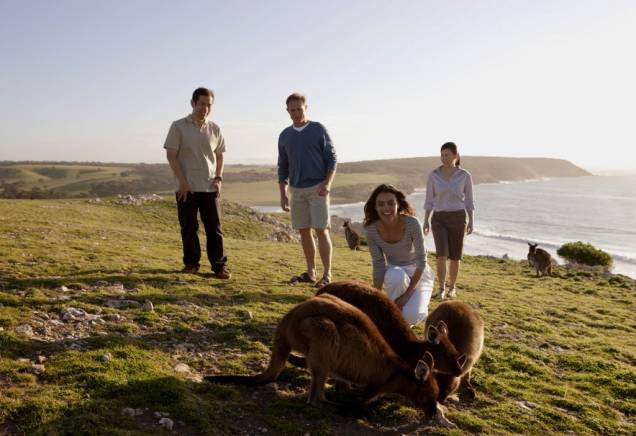 Kangaroo Island, próximo à costa de Adelaide, é um popular destino turístico do sul do país. Com uma fauna bem representativa da Austrália, aqui você encontrará pinguins, coalas, lobos-marinhos e, como não poderia deixar de ser, cangurus Kangaroo Island, próximo à costa de Adelaide, é um popular destino turístico do sul do país. Com uma fauna bem representativa da Austrália, aqui você encontrará pinguins, coalas, lobos-marinhos e, como não poderia deixar de ser, cangurus