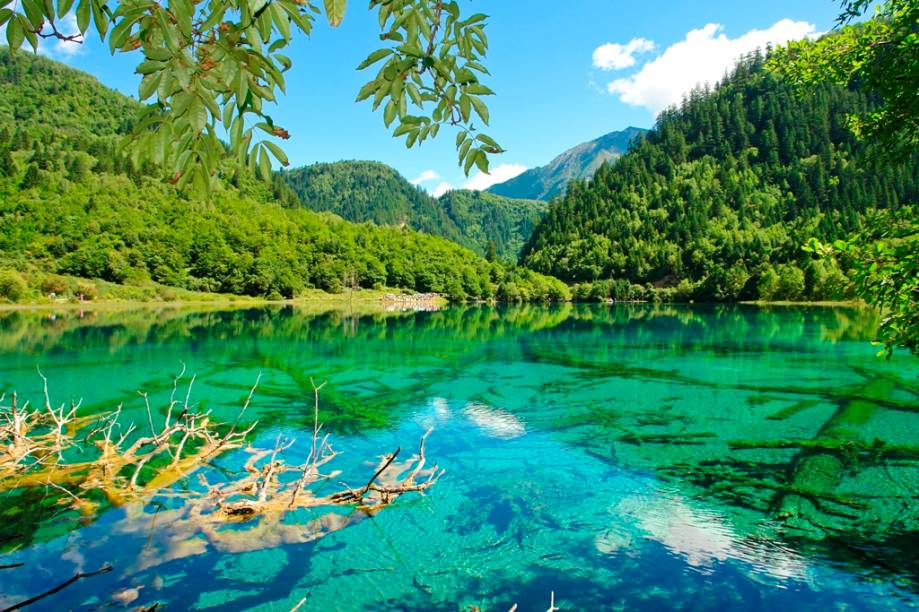 O belíssimo vale de Jiuzhaigou, na província de Sichuan, é um elaborado conjunto de lagos, cachoeiras, rios e montanhas descrevendo uma incrível alegoria de cores. Reserva da biosfera e patrimônio da humanidade, seu refinado ecossistema e incríveis paisagens já foram cenário de diversos filmes O belíssimo vale de Jiuzhaigou, na província de Sichuan, é um elaborado conjunto de lagos, cachoeiras, rios e montanhas descrevendo uma incrível alegoria de cores. Reserva da biosfera e patrimônio da humanidade, seu refinado ecossistema e incríveis paisagens já foram cenário de diversos filmes