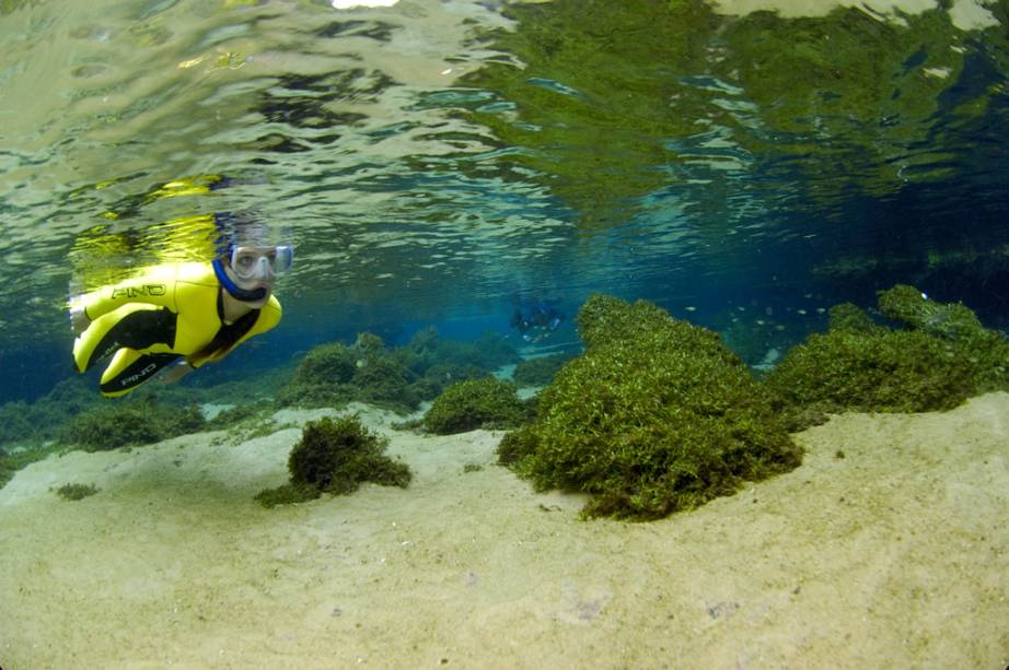 Flutuação na <strong>nascente Olho-D'Água</strong>, onde as águas são mais calmas e levam até o <a href="https://riodaprata.com.br/trilha-e-flutuacao" target="_blank" rel="noopener"><strong>Rio da Prata</strong></a> Flutuação na <strong>nascente Olho-D'Água</strong>, onde as águas são mais calmas e levam até o <a href="https://riodaprata.com.br/trilha-e-flutuacao" target="_blank" rel="noopener"><strong>Rio da Prata</strong></a>