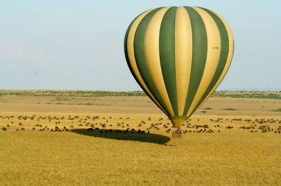 O passeio de balão em Masai Mara, o mais famoso parque do <a href="https://beta-develop.viagemeturismo.abril.com.br/paises/quenia/">Quênia</a>, é praticamente um safári no ar. De julho a outubro, milhares de animais percorrem o parque em busca de água, sobre o balão o turista consegue sentir o espírito da migração. Com sorte, é possível avistar um dos raríssimos rinocerontes negros que habitam o Masai Mara.