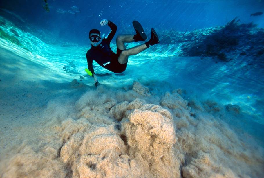 <strong>Bonito e Pantanal Sul (Mato Grosso do Sul)</strong><br /> <br /> Com rios de águas cristalinas e rica natureza, <a href="https://viajeaqui.abril.com.br/cidades/br-ms-bonito" rel="Bonito " target="_blank">Bonito </a>é um destino que tem muito a oferecer aos aventureiros. Mesmo com o rigoroso inverno da região, é possível desfrutar das belezas naturais como a Gruta do Lago Azul, com 10 milhões de anos, ou o Abismo Anhumas, uma cratera gigante escondida sob uma fenda igualmente grande. Se não estiver muito frio, outras opções na área são as belas cachoeiras e as imperdíveis flutuações nos rios Sucuri e da Prata, que dispensam comentários. Com roupas e acessórios apropriados, o turista aproveita bem o passeio.<br /> Na hora de comer, experimente o sorvete assado, popular comidinha alternativa à versão tradicional <strong>Bonito e Pantanal Sul (Mato Grosso do Sul)</strong><br /> <br /> Com rios de águas cristalinas e rica natureza, <a href="https://viajeaqui.abril.com.br/cidades/br-ms-bonito" rel="Bonito " target="_blank">Bonito </a>é um destino que tem muito a oferecer aos aventureiros. Mesmo com o rigoroso inverno da região, é possível desfrutar das belezas naturais como a Gruta do Lago Azul, com 10 milhões de anos, ou o Abismo Anhumas, uma cratera gigante escondida sob uma fenda igualmente grande. Se não estiver muito frio, outras opções na área são as belas cachoeiras e as imperdíveis flutuações nos rios Sucuri e da Prata, que dispensam comentários. Com roupas e acessórios apropriados, o turista aproveita bem o passeio.<br /> Na hora de comer, experimente o sorvete assado, popular comidinha alternativa à versão tradicional