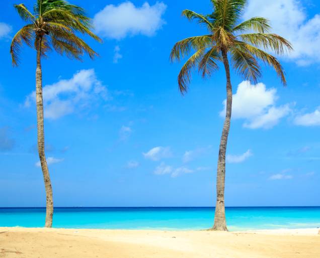 Coqueiros enfeitam o mar verde e azul de <a href="https://viajeaqui.abril.com.br/cidades/aruba-oranjestad" rel="Aruba" target="_blank"><strong>Aruba</strong></a> Coqueiros enfeitam o mar verde e azul de <a href="https://viajeaqui.abril.com.br/cidades/aruba-oranjestad" rel="Aruba" target="_blank"><strong>Aruba</strong></a>