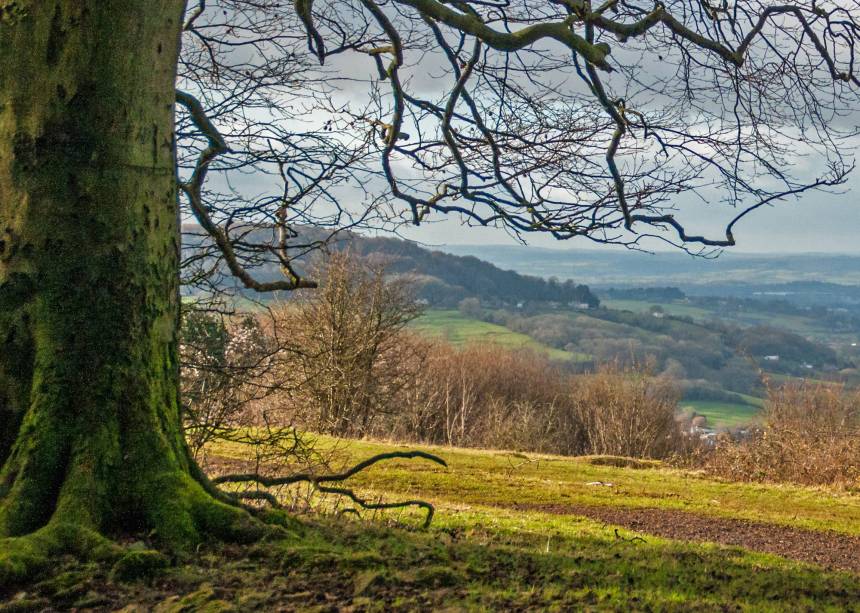 Cerca de 80% do território de Cotswolds é agrícola - o que dá ao lugar paisagens bucólicas de tirar o fôlego