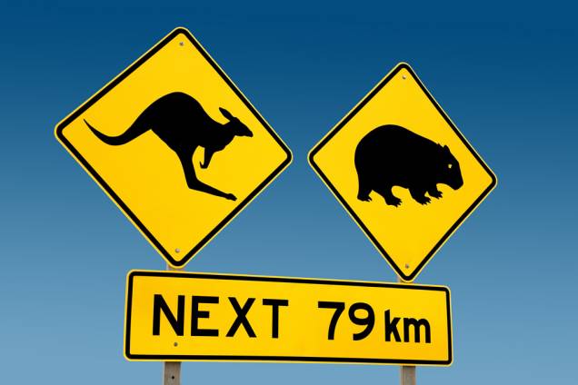 Placa avisando a presença de animais em estrada da Austrália Placa avisando a presença de animais em estrada da Austrália