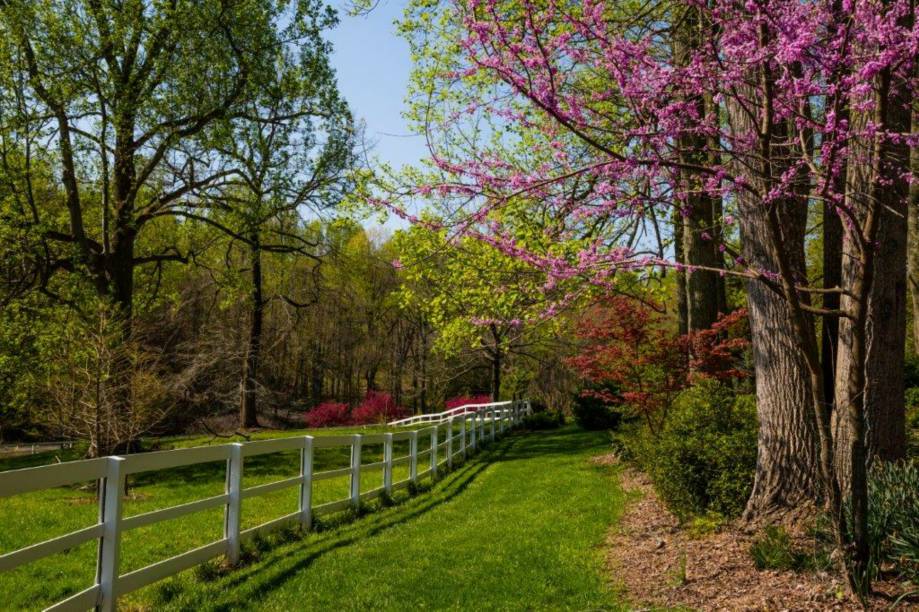 A primavera nos Estados Unidos é cheia de cores