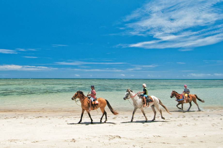 Cavalos na direção de Moreré