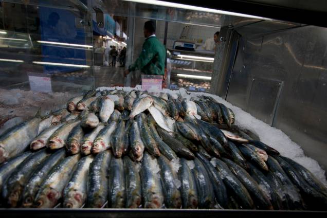 O Mercado Municipal também é uma boa pedida para comprar peixes e frutos do mar, que parecem frescos e saborosos. A loja de pescados Paola oferece uma gama de espécies marinhas que vão bem além das tradicionais O Mercado Municipal também é uma boa pedida para comprar peixes e frutos do mar, que parecem frescos e saborosos. A loja de pescados Paola oferece uma gama de espécies marinhas que vão bem além das tradicionais