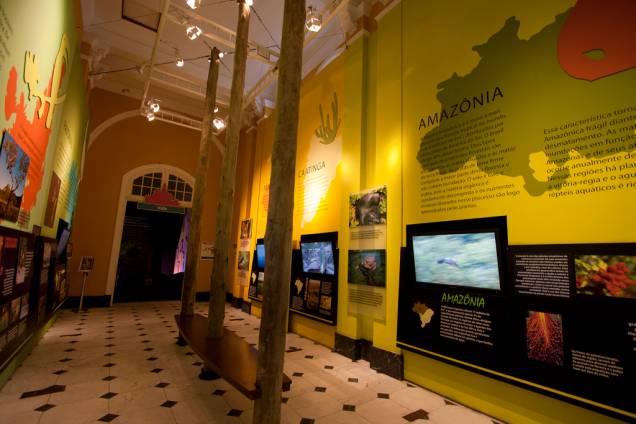 Com vídeos, textos e cores, um dos salões do Catavento Cultural mostra um pouco de cada um dos biomas brasileiros Com vídeos, textos e cores, um dos salões do Catavento Cultural mostra um pouco de cada um dos biomas brasileiros