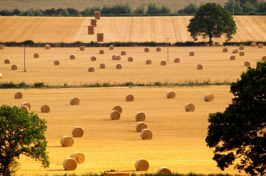 Na época das colheitas muitas regiões de Cotswolds ficam com esse aspecto seco, mas intensamente fotogênico