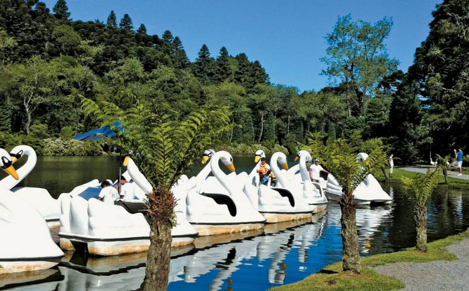 Pedalinhos refletidos no espelho do Lago Negro