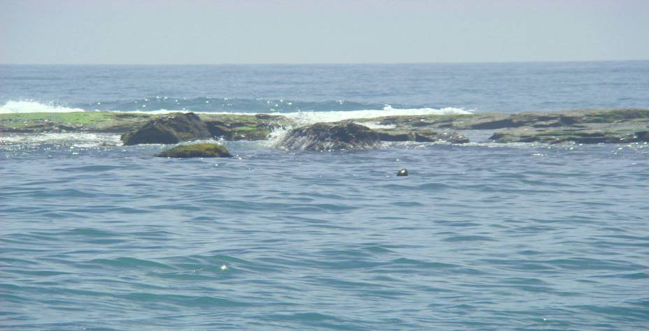 Partindo de Torres, a Ilha dos Lobos pede por um passeio de barco entre casais e famílias. O motivo: a visão de belos animais marinhos, que adoram aparecer para os visitantes