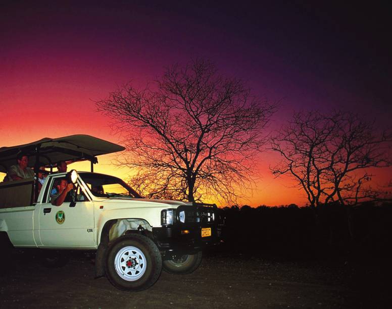 Os turistas fazem o safári a bordo de jipes com carrocerias abertas. E prepare-se: a aventura começa bem cedinho Os turistas fazem o safári a bordo de jipes com carrocerias abertas. E prepare-se: a aventura começa bem cedinho