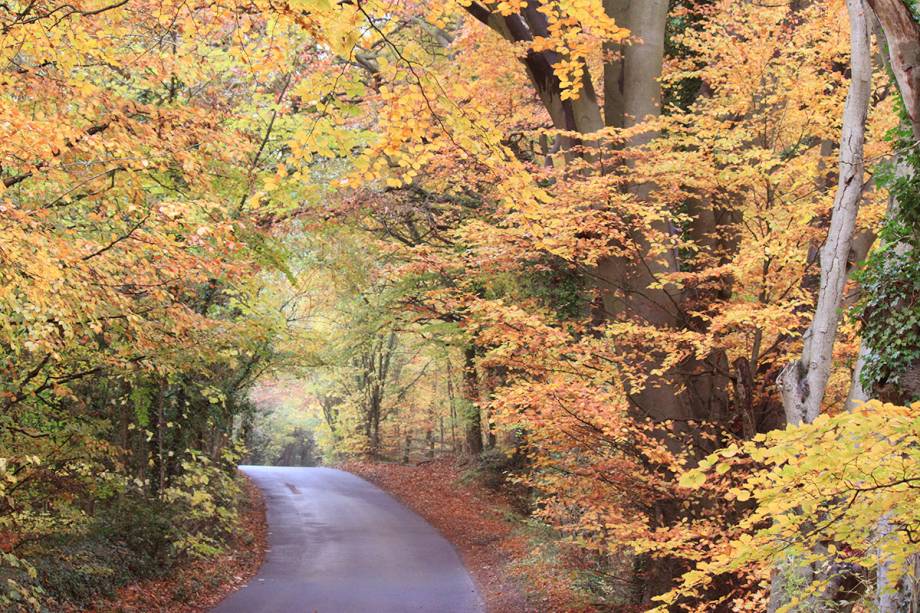 No outono, as cores avermelhadas tomam conta da paisagem e o clima já é tranquilo, com poucos turistas No outono, as cores avermelhadas tomam conta da paisagem e o clima já é tranquilo, com poucos turistas