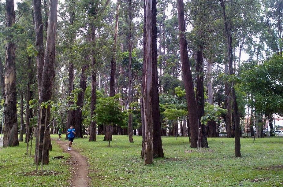 No mês em que comemora 60 anos, o <a href="https://viajeaqui.abril.com.br/estabelecimentos/br-sp-sao-paulo-atracao-parque-do-ibirapuera" rel="Parque do Ibirapuera" target="_blank">Parque do Ibirapuera</a> preparou uma programação especial e gratuita. A agenda conta com atrações que são desde apresentações e palestras até observação de aves e visitas guiadas