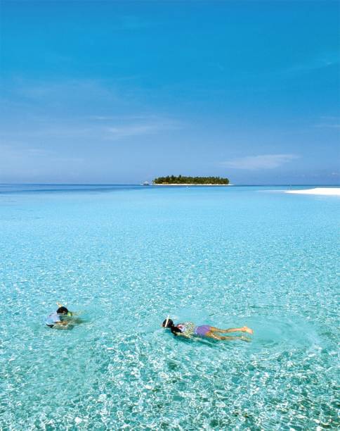 <a href="https://viajeaqui.abril.com.br/paises/maldivas" rel="Maldivas " target="_blank"><strong>Maldivas</strong></a> <a href="https://viajeaqui.abril.com.br/paises/maldivas" rel="Maldivas " target="_blank"><strong>Maldivas</strong></a>