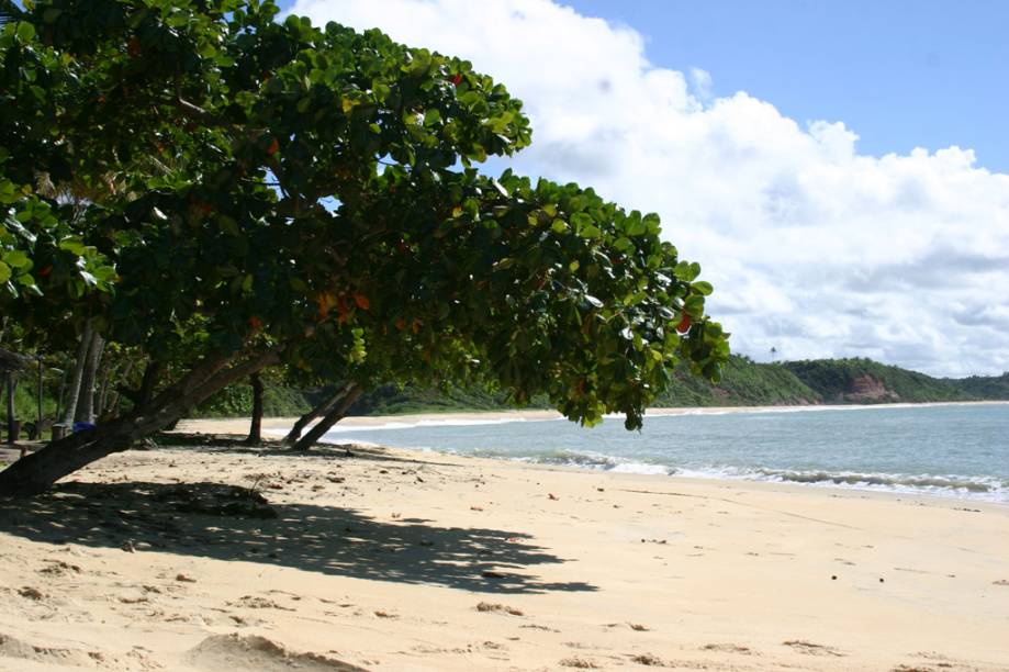 <strong>Praia Satu, Caraíva </strong>A beleza da praia, que tem uma deliciosa lagoa de água doce, compensa a dificuldade para chegar ali: o visitante precisa cruzar o Rio Caraíva de barco e caminhar pela orla por cerca de uma hora. A Satu é quase deserta – apenas povoada pelo dono do único quiosque que dá nome à praia, o Satu, que mora ali há mais de 30 anos. <a href="https://www.booking.com/searchresults.pt-br.html?aid=332455&sid=605c56653290b80351df808102ac423d&sb=1&src=searchresults&src_elem=sb&error_url=https%3A%2F%2Fwww.booking.com%2Fsearchresults.pt-br.html%3Faid%3D332455%3Bsid%3D605c56653290b80351df808102ac423d%3Bcity%3D900040389%3Bclass_interval%3D1%3Bdest_id%3D900051125%3Bdest_type%3Dcity%3Bdtdisc%3D0%3Bfrom_sf%3D1%3Bgroup_adults%3D2%3Bgroup_children%3D0%3Binac%3D0%3Bindex_postcard%3D0%3Blabel_click%3Dundef%3Bno_rooms%3D1%3Boffset%3D0%3Bpostcard%3D0%3Braw_dest_type%3Dcity%3Broom1%3DA%252CA%3Bsb_price_type%3Dtotal%3Bsearch_selected%3D1%3Bsrc%3Dsearchresults%3Bsrc_elem%3Dsb%3Bss%3DCorumbau%252C%2520Bahia%252C%2520Brasil%3Bss_all%3D0%3Bss_raw%3DCorumbau%3Bssb%3Dempty%3Bsshis%3D0%3Bssne_untouched%3DMorro%2520de%2520S%25C3%25A3o%2520Paulo%26%3B&ss=Cara%C3%ADva%2C+Bahia%2C+Brasil&ssne=Corumbau&ssne_untouched=Corumbau&city=900051125&checkin_monthday=&checkin_month=&checkin_year=&checkout_monthday=&checkout_month=&checkout_year=&group_adults=2&group_children=0&no_rooms=1&from_sf=1&ss_raw=Caraiva&ac_position=0&ac_langcode=xb&dest_id=-635449&dest_type=city&place_id_lat=-16.799999&place_id_lon=-39.150002&search_pageview_id=029b91ba39ce017b&search_selected=true&search_pageview_id=029b91ba39ce017b&ac_suggestion_list_length=5&ac_suggestion_theme_list_length=0" target="_blank" rel="noopener"><em>Busque hospedagens em Caraíva </em></a>