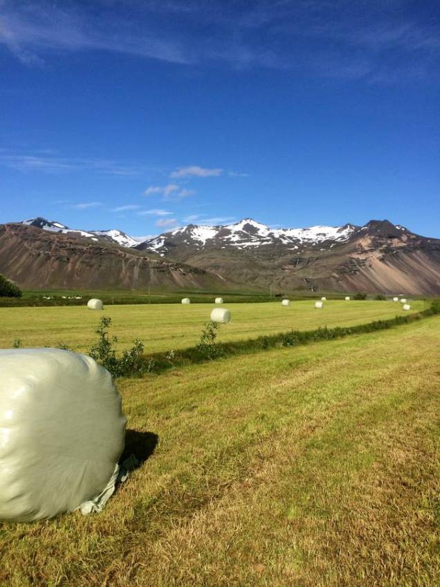 <strong><a href="https://www.booking.com/hotel/is/guesthouse-seljavellir.en-gb.html" rel="Seljavellir Guesthouse">Seljavellir Guesthouse</a>, Vatnajökull (North of the Wall) </strong>Demorou, mas chegamos à Muralha, lar da Patrulha da Noite. Para quem ama a locação, saiba que Seljavellir Guesthouse é o local perfeito para visitar a geleira Vatnajökull, frequentemente utilizada como local de filmagem das cenas do norte da muralha em Game of Thrones. Muito mais confortável do que as habitações de Jon Snow e seus companheiros, o local conta com restaurante, terraço, jardim e bar, e é ideal para ser um ponto de partida para caminhadas. Ainda que não dê para fazer os principais programas a pé, o centro da cidade de Höfn está a 8 minutos de carro e a lagoa da geleira Jökulsárlón a 72km da casa de hóspedes – é preciso ter certeza mesmo de que se quer vestir o negro. <strong><a href="https://www.booking.com/hotel/is/guesthouse-seljavellir.en-gb.html" rel="Seljavellir Guesthouse">Seljavellir Guesthouse</a>, Vatnajökull (North of the Wall) </strong>Demorou, mas chegamos à Muralha, lar da Patrulha da Noite. Para quem ama a locação, saiba que Seljavellir Guesthouse é o local perfeito para visitar a geleira Vatnajökull, frequentemente utilizada como local de filmagem das cenas do norte da muralha em Game of Thrones. Muito mais confortável do que as habitações de Jon Snow e seus companheiros, o local conta com restaurante, terraço, jardim e bar, e é ideal para ser um ponto de partida para caminhadas. Ainda que não dê para fazer os principais programas a pé, o centro da cidade de Höfn está a 8 minutos de carro e a lagoa da geleira Jökulsárlón a 72km da casa de hóspedes – é preciso ter certeza mesmo de que se quer vestir o negro.