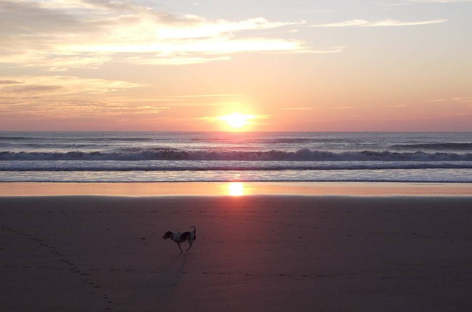 Cachorro brinca na praia de Wainui, em Gisborne, enquanto o sol nasce - a cidade é uma das primeiras do mundo a comemorar a passagem do ano Cachorro brinca na praia de Wainui, em Gisborne, enquanto o sol nasce - a cidade é uma das primeiras do mundo a comemorar a passagem do ano