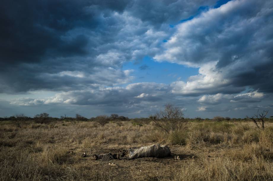 <strong>3. <a href="https://viajeaqui.abril.com.br/estabelecimentos/br-rj-rio-de-janeiro-restaurante-bar-lagoa" rel="BAR LAGOA" target="_blank">BAR LAGOA</a></strong> (3 km)Patrimônio histórico da boemia carioca, foi inaugurado em 1934, ainda com o nome de Bar Berlin (que precisou ser trocado com a Segunda Guerra). Pegue uma mesa na disputada varanda ou no salão em estilo art déco, peça um chope cremoso, verifique se a fama dos garçons de serem mal-humorados se justifica e tire suas conclusões sobre a vigorosa cozinha germânica da casa, com pedidos como salsichão com salada de batatas, kassler defumado e steak tartar.<em>Avenida Epitácio Pessoa, 1674 (Lagoa), 2523-1135</em> <strong>3. <a href="https://viajeaqui.abril.com.br/estabelecimentos/br-rj-rio-de-janeiro-restaurante-bar-lagoa" rel="BAR LAGOA" target="_blank">BAR LAGOA</a></strong> (3 km)Patrimônio histórico da boemia carioca, foi inaugurado em 1934, ainda com o nome de Bar Berlin (que precisou ser trocado com a Segunda Guerra). Pegue uma mesa na disputada varanda ou no salão em estilo art déco, peça um chope cremoso, verifique se a fama dos garçons de serem mal-humorados se justifica e tire suas conclusões sobre a vigorosa cozinha germânica da casa, com pedidos como salsichão com salada de batatas, kassler defumado e steak tartar.<em>Avenida Epitácio Pessoa, 1674 (Lagoa), 2523-1135</em>