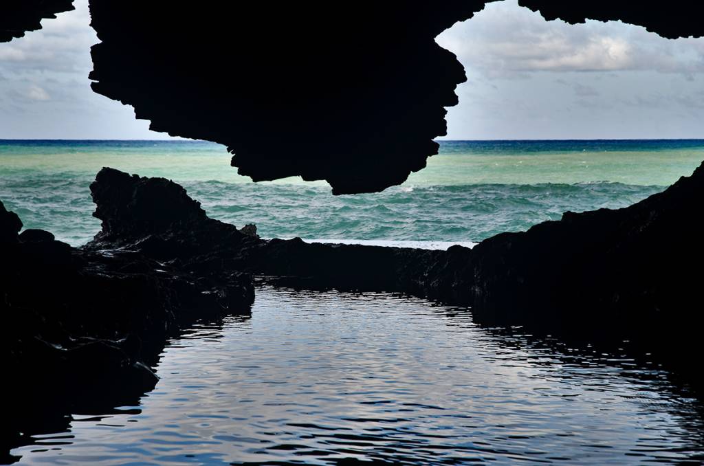 "Animal Flower Cave"