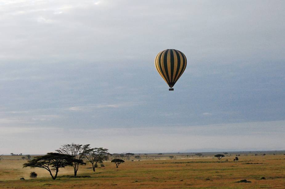 Rebanhos e manadas de zebras, girafas, leões, hipopótamos, elefantes, entre outros habitantes da <a href="https://beta-develop.viagemeturismo.abril.com.br/paises/tanzania/">Tanzânia</a>, são só uma prévia da paisagem vista de cima de um balão no <a href="https://beta-develop.viagemeturismo.abril.com.br/atracao/parque-nacional-do-serengeti/">Parque Nacional do Serengeti</a>, em <a href="https://beta-develop.viagemeturismo.abril.com.br/cidades/arusha/">Arusha</a>. A flora da savana africana completa a obra. E não pense que os elefantes avistados são "pontinhos cinza". Nada disso! É possível observá-los a uma curta distância e ficar atento para – quem sabe - não esbarrar na cabeça de uma girafa (ok, nem tanto).