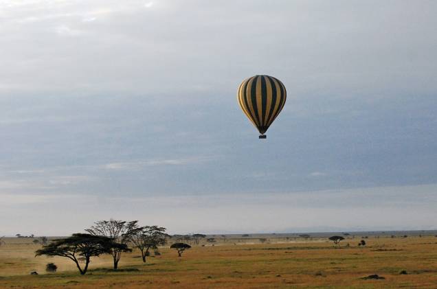 Rebanhos e manadas de zebras, girafas, leões, hipopótamos, elefantes, entre outros habitantes da <a href="https://beta-develop.viagemeturismo.abril.com.br/paises/tanzania/">Tanzânia</a>, são só uma prévia da paisagem vista de cima de um balão no <a href="https://beta-develop.viagemeturismo.abril.com.br/atracao/parque-nacional-do-serengeti/">Parque Nacional do Serengeti</a>, em <a href="https://beta-develop.viagemeturismo.abril.com.br/cidades/arusha/">Arusha</a>. A flora da savana africana completa a obra. E não pense que os elefantes avistados são "pontinhos cinza". Nada disso! É possível observá-los a uma curta distância e ficar atento para – quem sabe - não esbarrar na cabeça de uma girafa (ok, nem tanto). Rebanhos e manadas de zebras, girafas, leões, hipopótamos, elefantes, entre outros habitantes da <a href="https://beta-develop.viagemeturismo.abril.com.br/paises/tanzania/">Tanzânia</a>, são só uma prévia da paisagem vista de cima de um balão no <a href="https://beta-develop.viagemeturismo.abril.com.br/atracao/parque-nacional-do-serengeti/">Parque Nacional do Serengeti</a>, em <a href="https://beta-develop.viagemeturismo.abril.com.br/cidades/arusha/">Arusha</a>. A flora da savana africana completa a obra. E não pense que os elefantes avistados são "pontinhos cinza". Nada disso! É possível observá-los a uma curta distância e ficar atento para – quem sabe - não esbarrar na cabeça de uma girafa (ok, nem tanto).