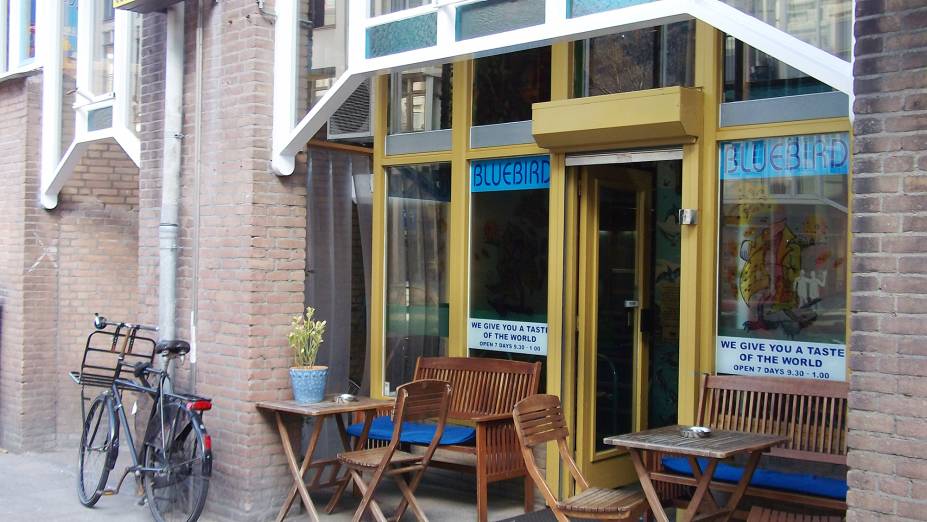 <strong>Bluebird</strong> <em>(Sint Antoniesbreestraat 71)</em>O prédio moderno em que se encontra o coffeeshop foge dos padrões mais tradicionais. Os atendentes costumam estar disponíveis para conversar e tirar dúvidas, o diferencial é o fato de eles falarem outras línguas além do inglês e holandês. O local também é conhecido por vender haxixe de qualidade