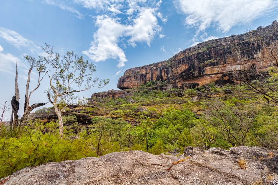 <a href="https://viajeaqui.abril.com.br/estabelecimentos/australia-darwin-atracao-parque-nacional-de-kakadu" rel="Parque Nacional de Kakadu - Darwin " target="_blank"><strong>Parque Nacional de Kakadu - Darwin </strong></a>                    A preservação da cultura aborígene combinada às belezas naturais fizeram com que Kakadu fosse considerado patrimônio pela Unesco. Uma vez nas dependências do parque, você se depara com galerias de pinturas aborígenes, pantanais com crocodilos gigantes, paredões avermelhados e espécies raras de plantas e animais