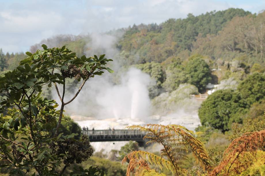 <strong><em>Parque Te Puia, em<a href="https://viajeaqui.abril.com.br/cidades/nova-zelandia-rotorua" target="_blank" rel="noopener"> Rotorua</a></em> -</strong> A intensa atividade vulcânica em Rotorua é responsável pelo vapor eliminado em vários pontos da cidade, que produzem um odor desagradável, e também pelos gêiseres: o mais famoso, Pohutu, chega a lançar jatos de água a 20 metros de altura