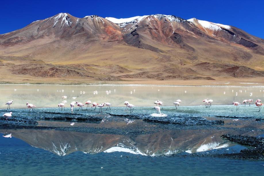 <strong>Altiplano Andino, Bolívia</strong> A <a href="https://viajeaqui.abril.com.br/paises/bolivia">Bolívia </a>possui paisagens simplesmente arrebatadoras. A região do altiplano reserva maravilhas naturais como lagunas policromáticas, vulcões e uma fauna singular. Esta é uma viagem para toda uma vida.<em> <a href="https://www.booking.com/searchresults.pt-br.html?aid=332455&lang=pt-br&sid=eedbe6de09e709d664615ac6f1b39a5d&sb=1&src=searchresults&src_elem=sb&error_url=https%3A%2F%2Fwww.booking.com%2Fsearchresults.pt-br.html%3Faid%3D332455%3Bsid%3Deedbe6de09e709d664615ac6f1b39a5d%3Bclass_interval%3D1%3Bdest_id%3D75%3Bdest_type%3Dcountry%3Bdtdisc%3D0%3Bfrom_sf%3D1%3Bgroup_adults%3D2%3Bgroup_children%3D0%3Binac%3D0%3Bindex_postcard%3D0%3Blabel_click%3Dundef%3Bno_rooms%3D1%3Boffset%3D0%3Bpostcard%3D0%3Braw_dest_type%3Dcountry%3Broom1%3DA%252CA%3Bsb_price_type%3Dtotal%3Bsearch_selected%3D1%3Bsrc%3Dsearchresults%3Bsrc_elem%3Dsb%3Bss%3DPolin%25C3%25A9sia%2520Francesa%3Bss_all%3D0%3Bss_raw%3DPolin%25C3%25A9sia%2520Francesa%3Bssb%3Dempty%3Bsshis%3D0%3Bssne_untouched%3DAustr%25C3%25A1lia%26%3B&ss=Bol%C3%ADvia&ssne=Polin%C3%A9sia+Francesa&ssne_untouched=Polin%C3%A9sia+Francesa&checkin_monthday=&checkin_month=&checkin_year=&checkout_monthday=&checkout_month=&checkout_year=&no_rooms=1&group_adults=2&group_children=0&highlighted_hotels=&from_sf=1&ss_raw=Bol%C3%ADvia&ac_position=0&ac_langcode=xb&dest_id=26&dest_type=country&search_pageview_id=44067821693500b2&search_selected=true&search_pageview_id=44067821693500b2&ac_suggestion_list_length=5&ac_suggestion_theme_list_length=0" target="_blank" rel="noopener">Busque hospedagens na Bolívia no Booking.com</a></em>