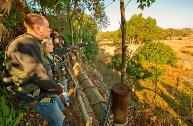 Wild Africa Trek, no Animal Kingdom Wild Africa Trek, no Animal Kingdom